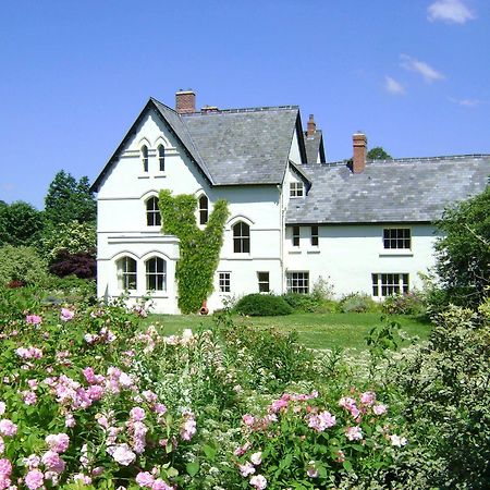 The Forest Country House B&B Нютаун Екстериор снимка
