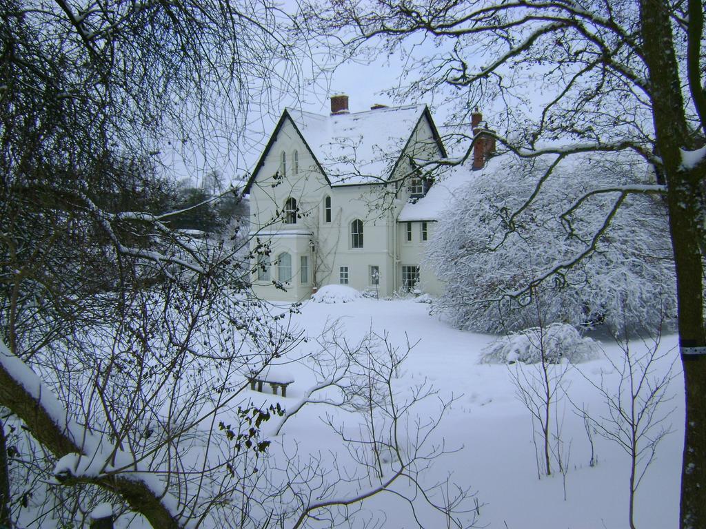 The Forest Country House B&B Нютаун Екстериор снимка