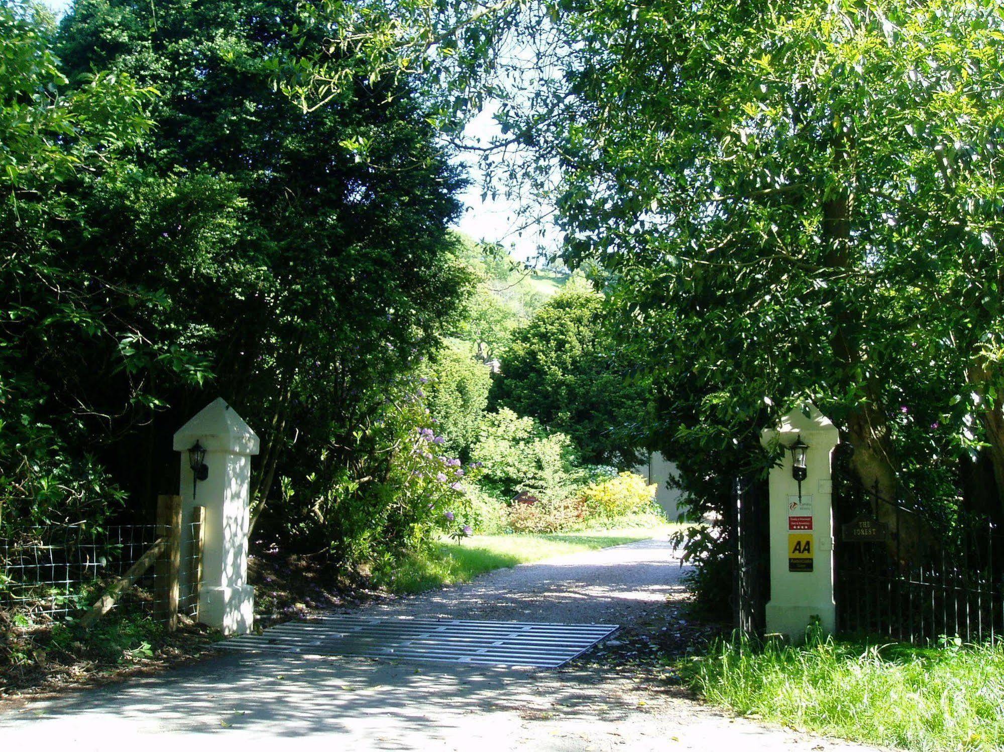 The Forest Country House B&B Нютаун Екстериор снимка